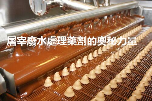 屠宰廢水處理藥劑的奧秘力量，能讓廢水變清泉？